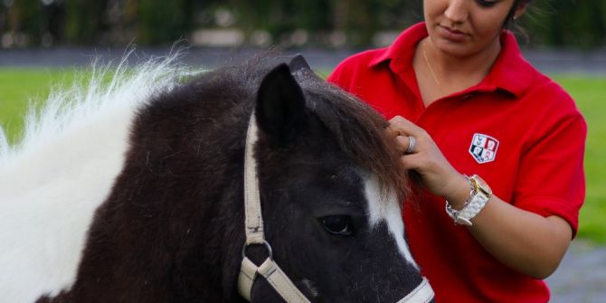 Atanamayan Anaokulu Öğretmeni Seyis Oldu