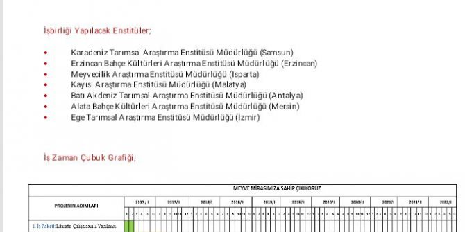 İbb Unutulmaya Yüz Tutmuş Meyveleri Gün Yüzüne Çıkarıyor