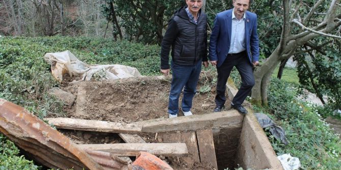 İkizdere’de Ayılar Mezarlara Dadandı