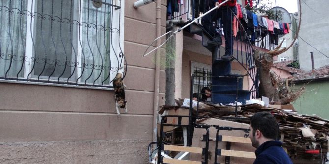 Parmaklıklara Sıkışan Kediyi Kurtarmak İçin Operasyon Yapıldı