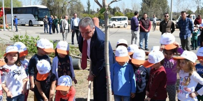 Başkan Böcek, Kreş Öğrencileriyle Ağaç Dikti