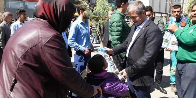 Başkan Mehmet Tahmazoğlu Fidan Dağıttı