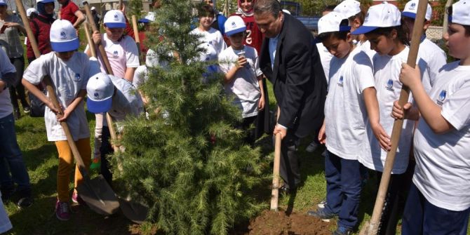 Başkan Çerçi Minik Bahçıvanlarla Fidan Dikti
