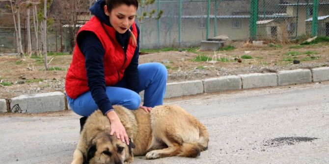 Barınağın Yeni İhtiyar Heyeti