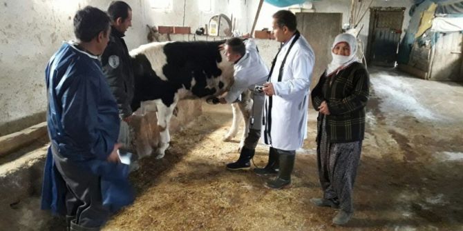 Hayvanlar İçin Sağlık Taraması