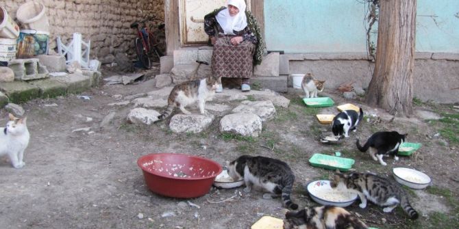 87 Yaşındaki Kadın, 30 Sokak Kedisine Bakıyor