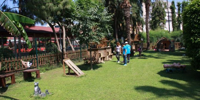 Alanya Belediyesi’nden Sahipsiz Hayvanlara Hizmet