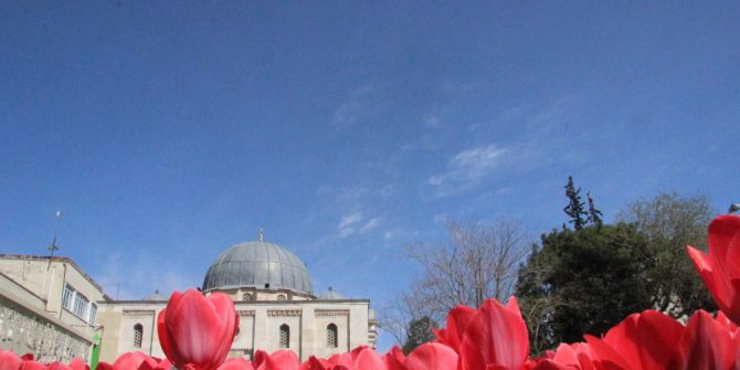 Kilis’te Laleler Güzel Görünüm Oluşturdu