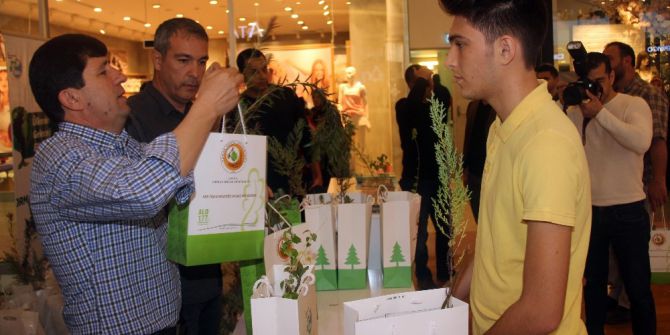 Avm Ziyaretçilerine Ücretsiz Fidan Dağıtıldı