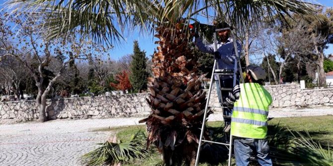 Alaçatı’da Ot Festivali Hazırlığı