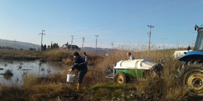 Altınova’da Haşereyle Mücadele
