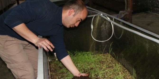 Ankaralı Sağlık Memuru 30 Milyon Solucanı İle Gübre Üretiyor