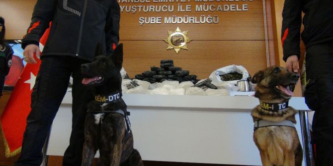 Maya Ve Fırtına İsimli Köpekler, Beton Kolonların Arasındaki Uyuşturucuyu Buldu