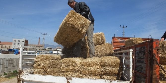 Havran’da Saman Fiyatları Arttı