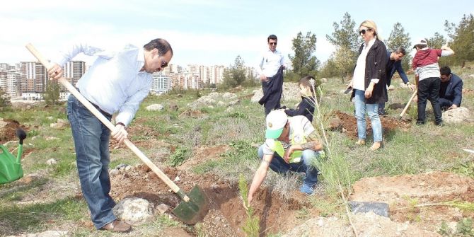 15 Temmuz Şehitleri İçin Hatıra Ormanı Oluşturuldu