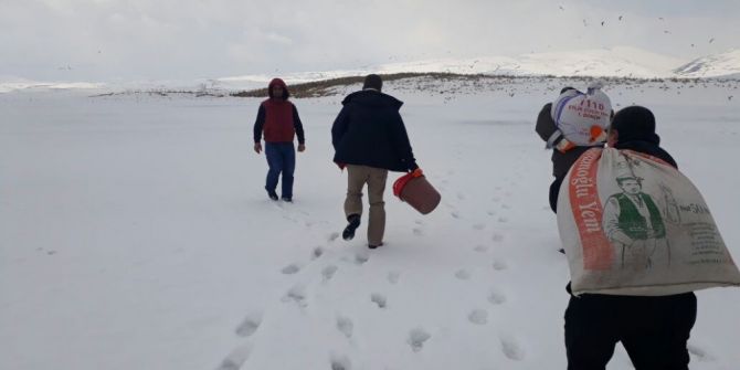 Kars’ta Kuşlara Yem Bırakıldı