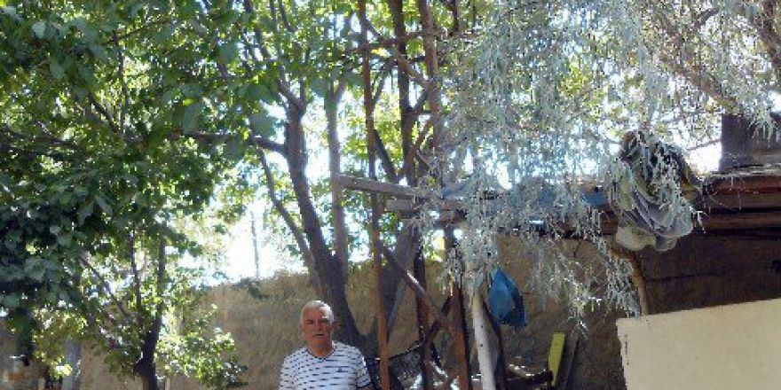 Elektrik Direğinin Tapulu Bahçesinden Kaldırılmasını İstiyor