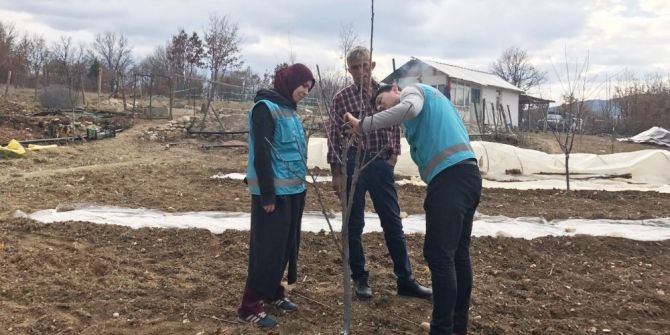 Hisarcık’ta Meyve Budama Ve Eğitim Çalışması