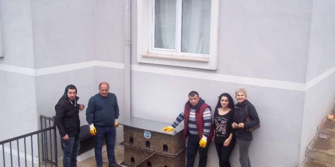 Sokak Hayvanları Barınaklarına Kavuştu