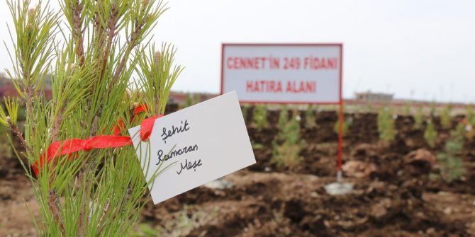 15 Temmuz Şehitleri İçin Fidan Dikildi