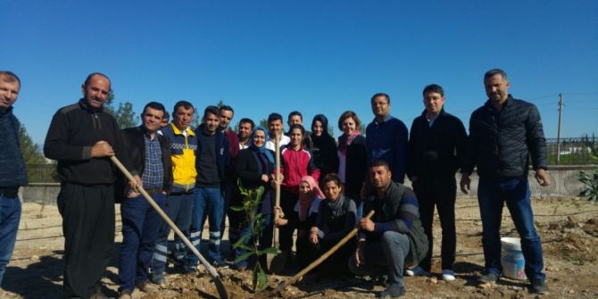 Samsat Devlet Hastanesi Personeli Bahçesini Ağaçlandırdı