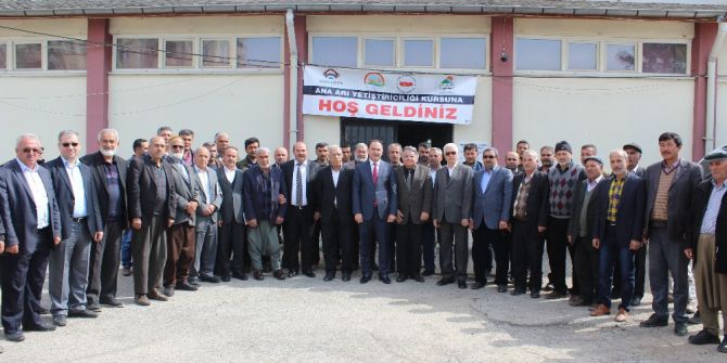 Adıyaman’da Ana Arı Yetiştirilecek