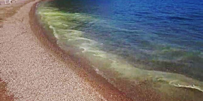 Marmaris’te Polen Tozu Denizi Sarıya Boyadı