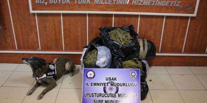 Uşak’ta 49 Kilo 800 Gram Esrar Yakalandı