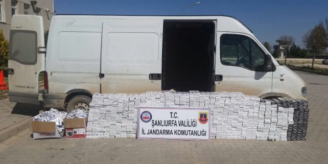 Şanlıurfa’da Kaçak Sigara Operasyonu: 10 Gözaltı