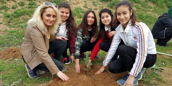 Fidanlar, Daha Yeşil Bir Okul İçin Dikildi