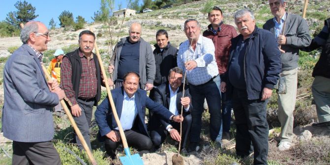 Silifke’de Mali Müşavirler Hatıra Ormanı Oluşturuldu