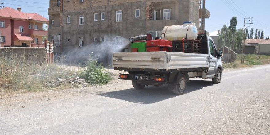 Yüksekova’da İlaçlama Çalışmaları Devam Ediyor