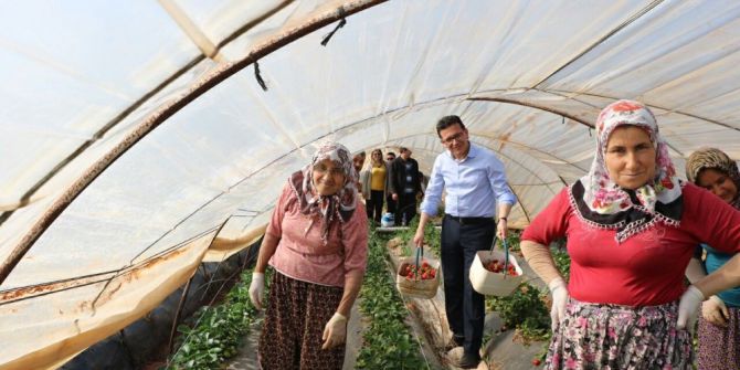 Halk Oylamasına Doğru