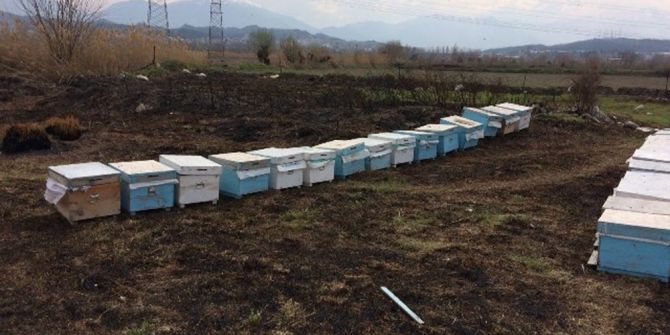 Arı Kovanlarını Çalan Hırsızlar Tutuklandı