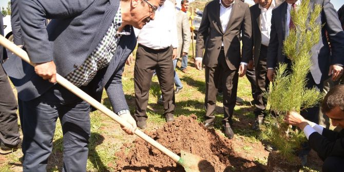 Başkan Atilla, 15 Temmuz Şehitleri Anısına Fidan Dikti