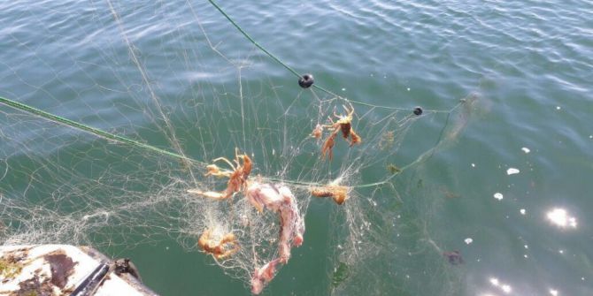 Göle Kaçak Atılan Ağlara El Konuldu