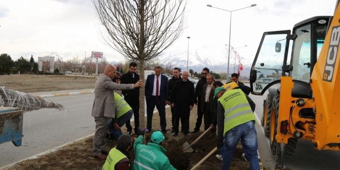 Erzincan Belediyesi Ağaçlandırma Çalışmalarına Devam Ediyor