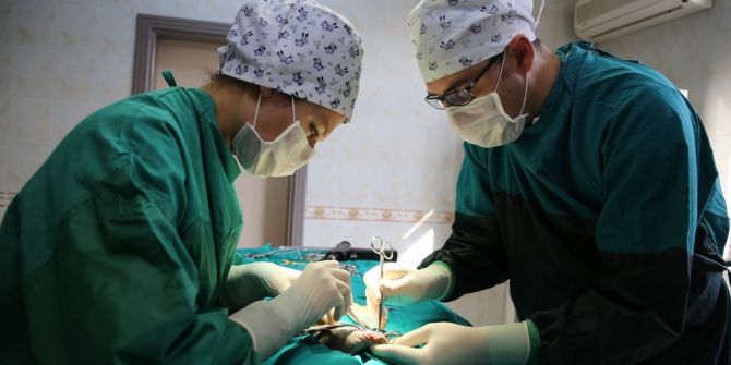 Nilüfer’den Can Dostlarına Beş Yıldızlı Sağlık Hizmeti