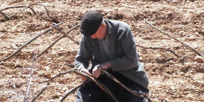 Bağ Budama Dönemi Başladı
