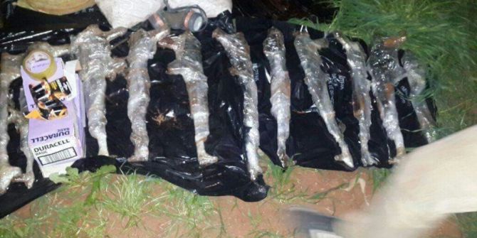 Derik’te Silah Ve Mühimmat Ele Geçirildi