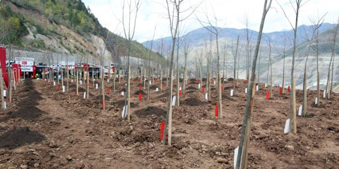 Artvin’de "15 Temmuz Şehitleri Hatıra Ormanı" Kuruldu