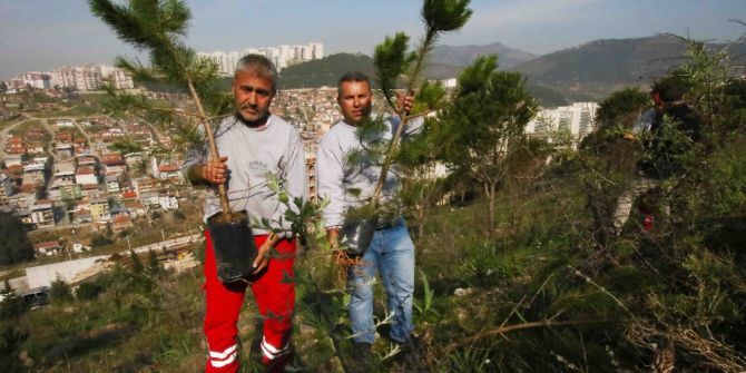 Bayraklı’da Ağaçlandırma Çalışması