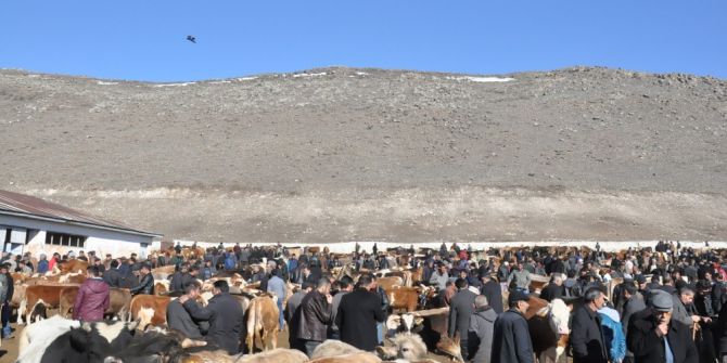 Karslı Hayvan Yetiştiricileri Denetim İstiyor