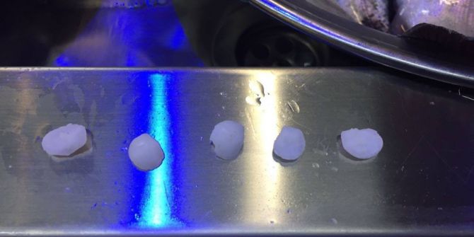 Eşkina Balığının Kafasından Çıkan Taşların Böbrek Taşına İyi Geldiğine İnanılıyor