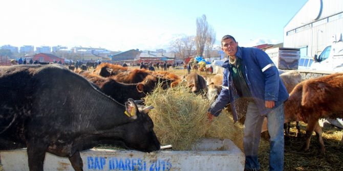 Besiciler Yem Fiyatlarından Dertli