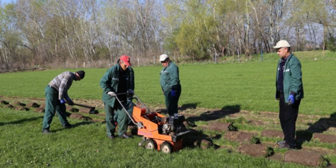 Edirne Belediyesi Çimini Kendi Üretiyor