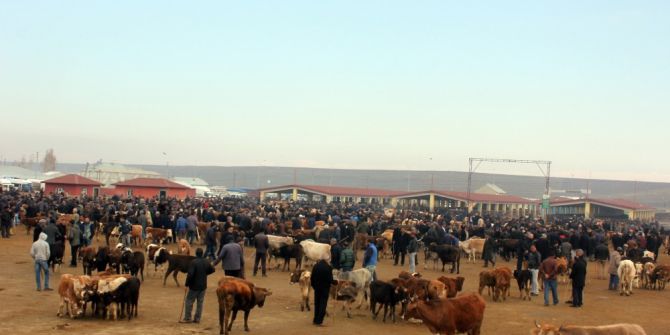 Ağrı’da Hayvan Üreticilerinden Et Fiyatlarının Düşmesine Tepki