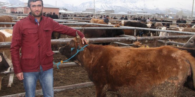 Vanlı Çiftçilerin ‘Et Fiyatı’ Tepkisi
