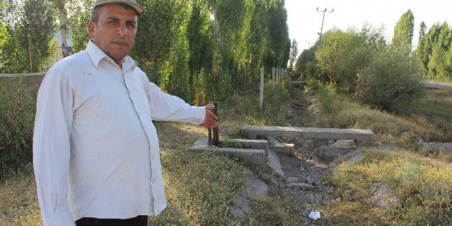 Muş’ta Sulama Kanalları Susuz Kaldı