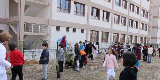Minik Öğrencilerden Fidan Dikimi